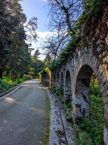 PXL 20250215 1344385612