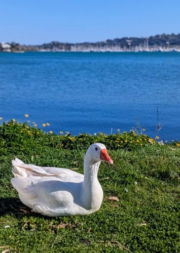 PXL 20250411 142243008.PORTRAIT2